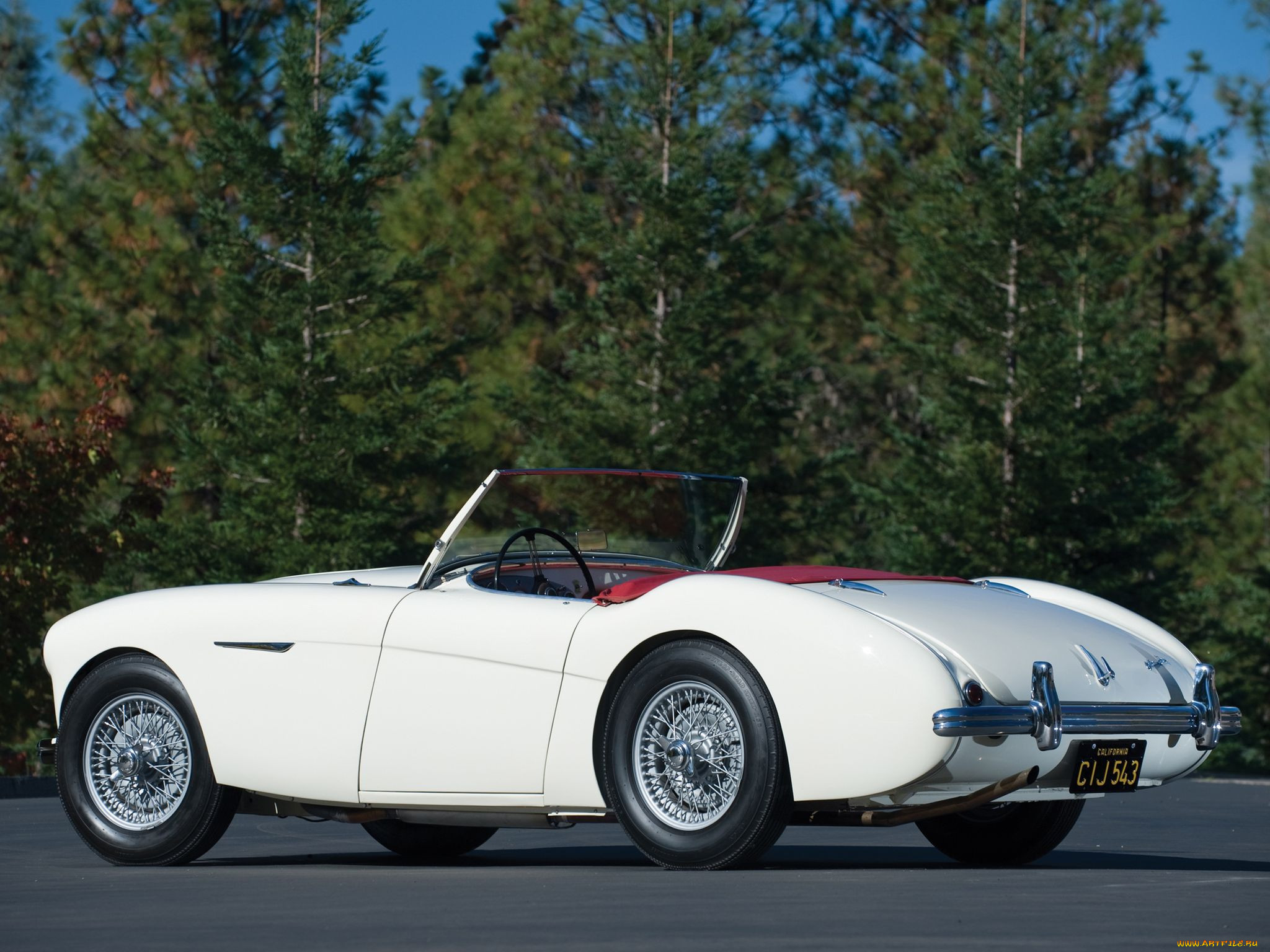 , austin, healy